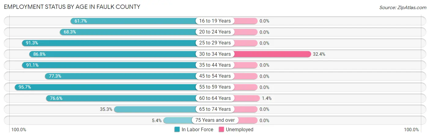 Employment Status by Age in Faulk County