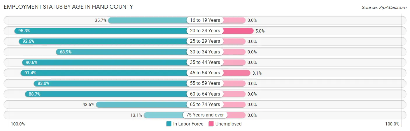 Employment Status by Age in Hand County