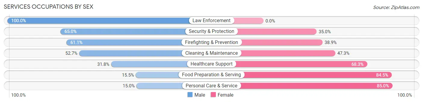 Services Occupations by Sex in Hand County