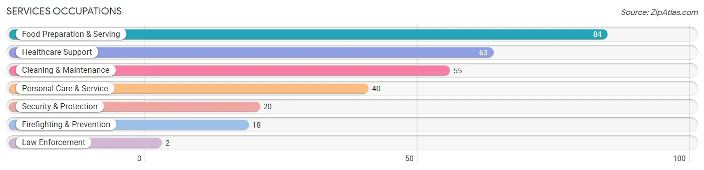 Services Occupations in Hand County