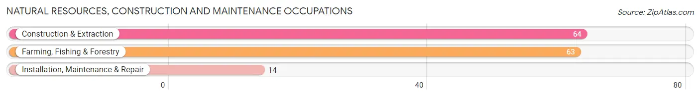 Natural Resources, Construction and Maintenance Occupations in Harding County