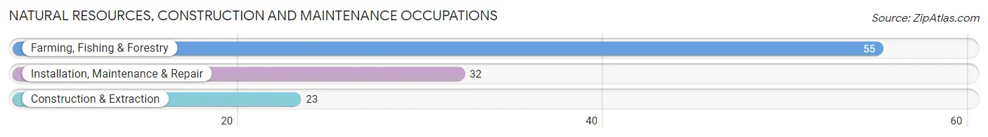 Natural Resources, Construction and Maintenance Occupations in Hyde County