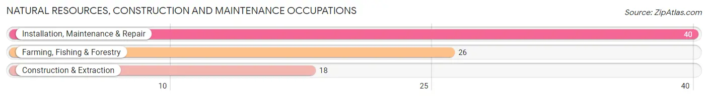 Natural Resources, Construction and Maintenance Occupations in Jerauld County