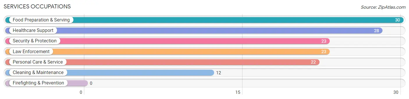 Services Occupations in Jerauld County