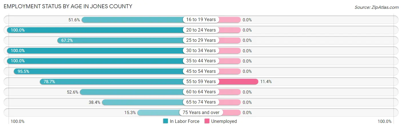 Employment Status by Age in Jones County