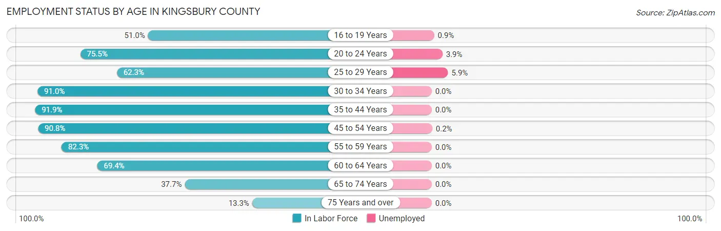 Employment Status by Age in Kingsbury County