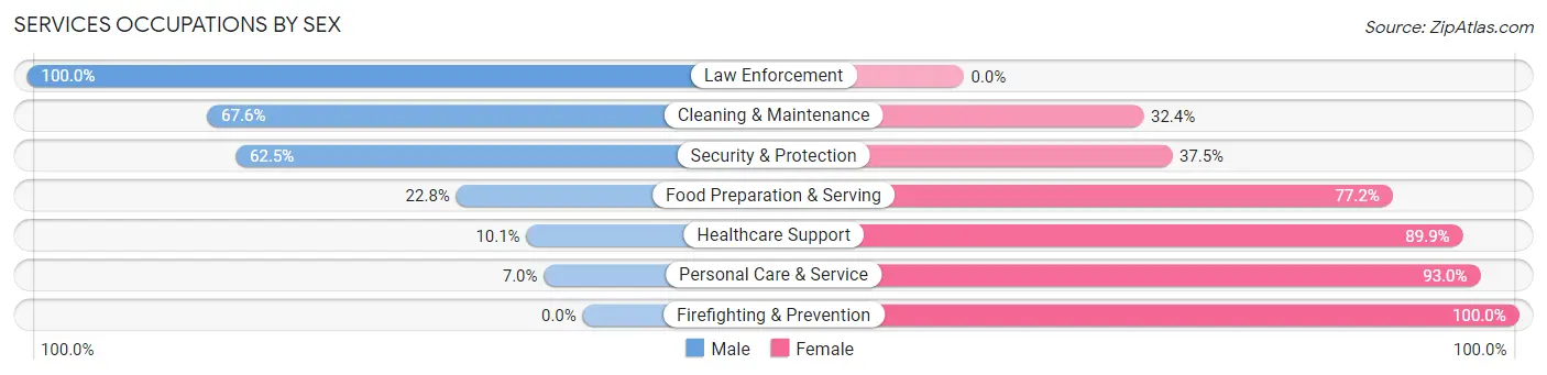 Services Occupations by Sex in Kingsbury County