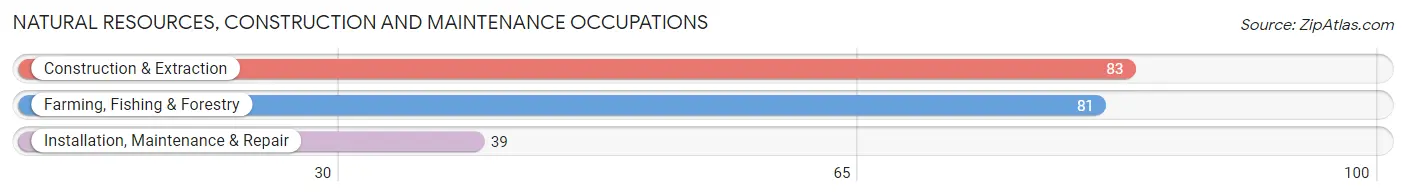 Natural Resources, Construction and Maintenance Occupations in Lyman County