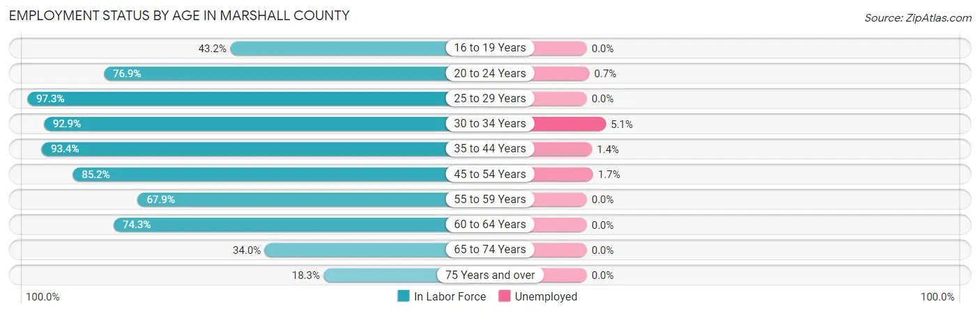 Employment Status by Age in Marshall County