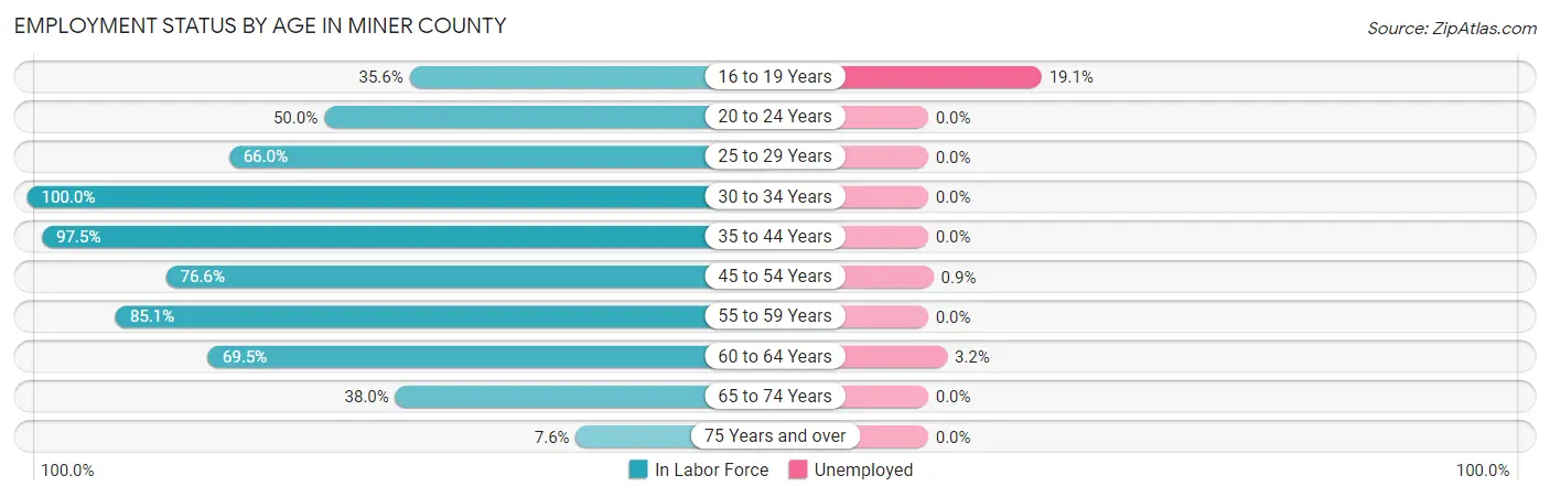 Employment Status by Age in Miner County