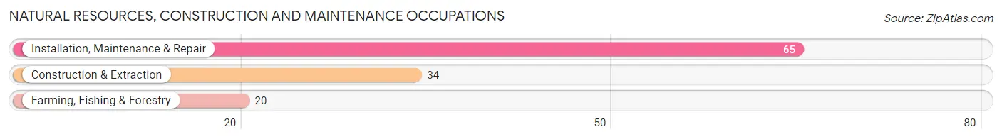 Natural Resources, Construction and Maintenance Occupations in Miner County