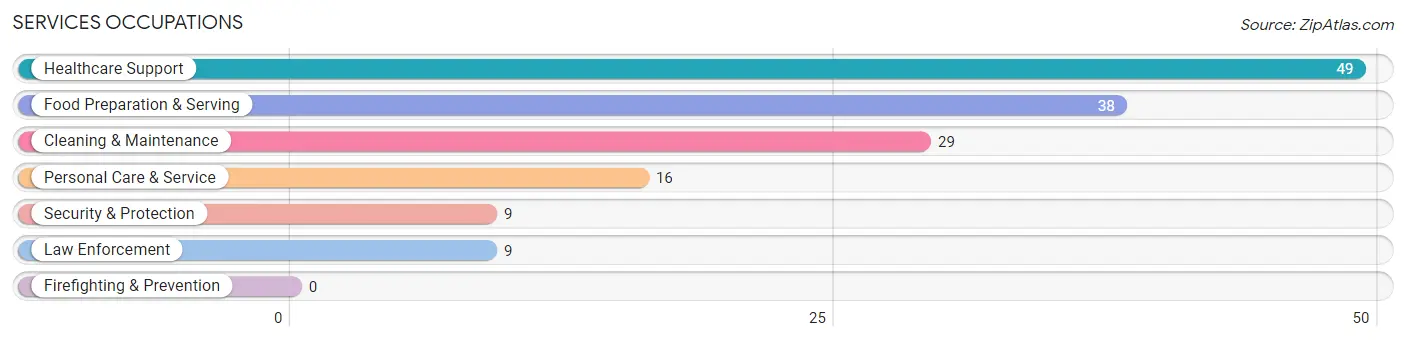 Services Occupations in Miner County