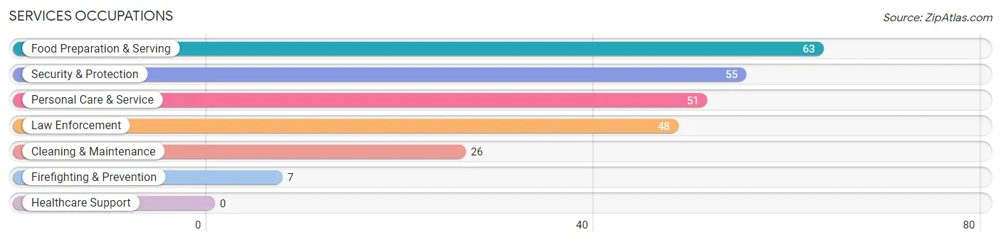Services Occupations in Stanley County