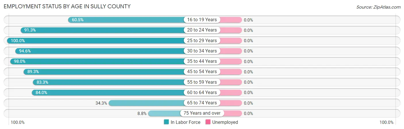 Employment Status by Age in Sully County