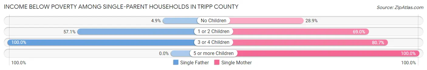 Income Below Poverty Among Single-Parent Households in Tripp County