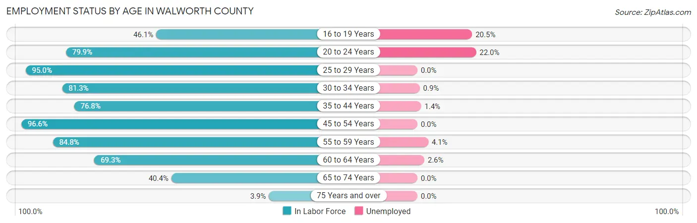 Employment Status by Age in Walworth County