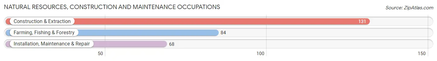 Natural Resources, Construction and Maintenance Occupations in Walworth County