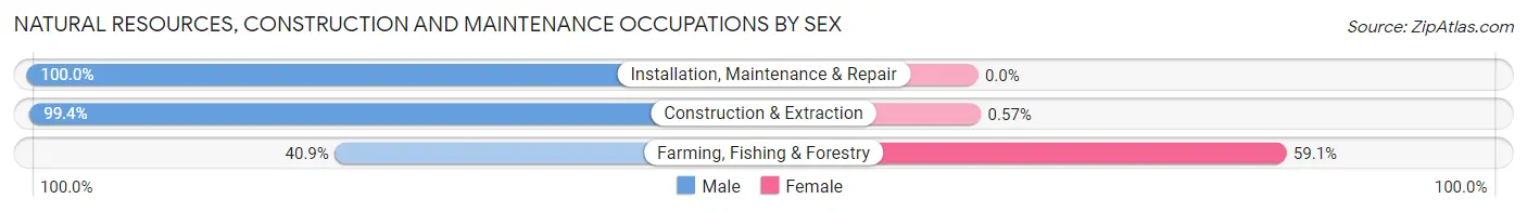 Natural Resources, Construction and Maintenance Occupations by Sex in Monongalia County