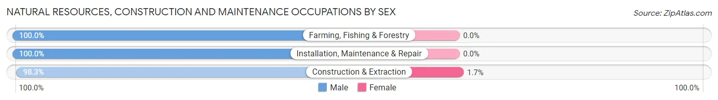 Natural Resources, Construction and Maintenance Occupations by Sex in Zip Code 00602