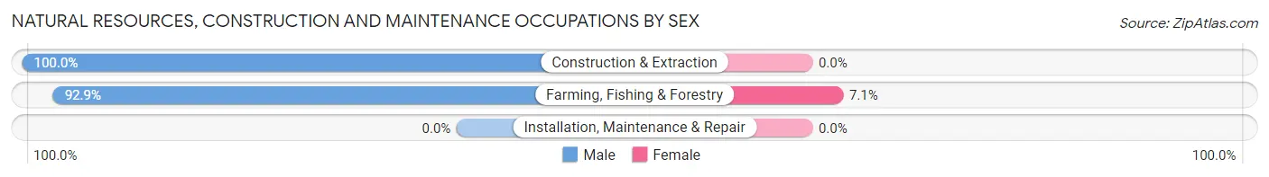 Natural Resources, Construction and Maintenance Occupations by Sex in Zip Code 00606