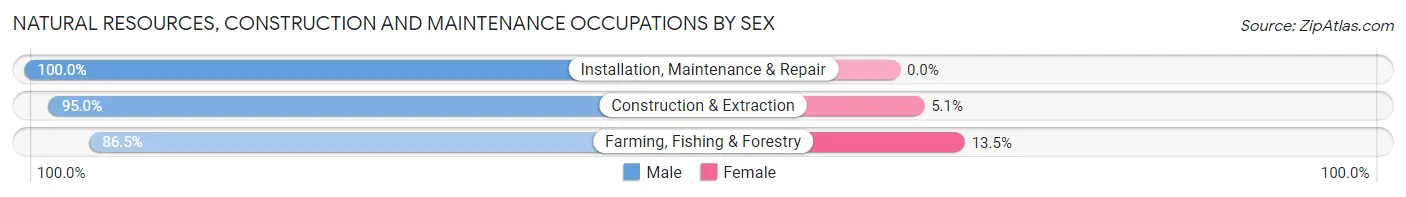 Natural Resources, Construction and Maintenance Occupations by Sex in Zip Code 00612
