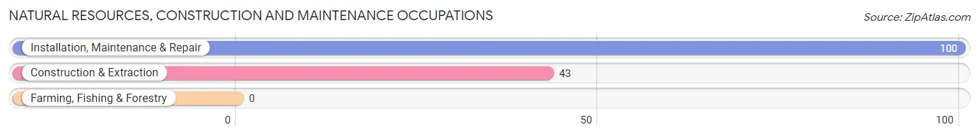 Natural Resources, Construction and Maintenance Occupations in Zip Code 00647