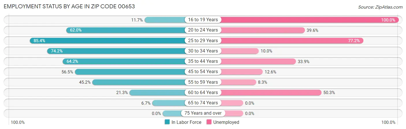 Employment Status by Age in Zip Code 00653