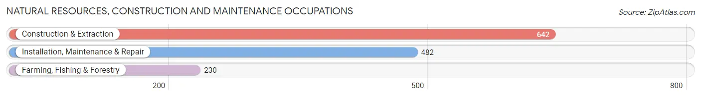 Natural Resources, Construction and Maintenance Occupations in Zip Code 00659