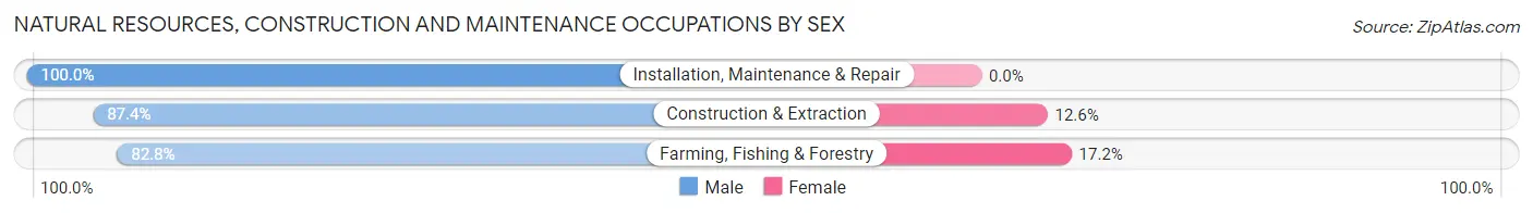 Natural Resources, Construction and Maintenance Occupations by Sex in Zip Code 00667