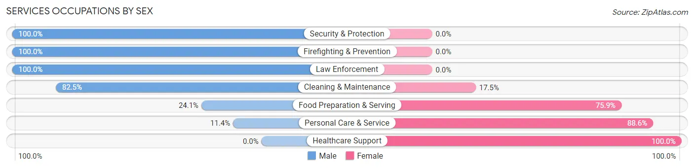 Services Occupations by Sex in Zip Code 00667