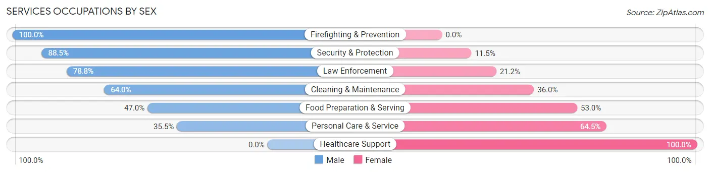 Services Occupations by Sex in Zip Code 00676
