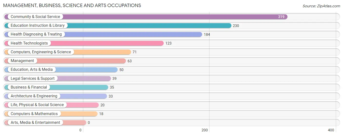 Management, Business, Science and Arts Occupations in Zip Code 00688