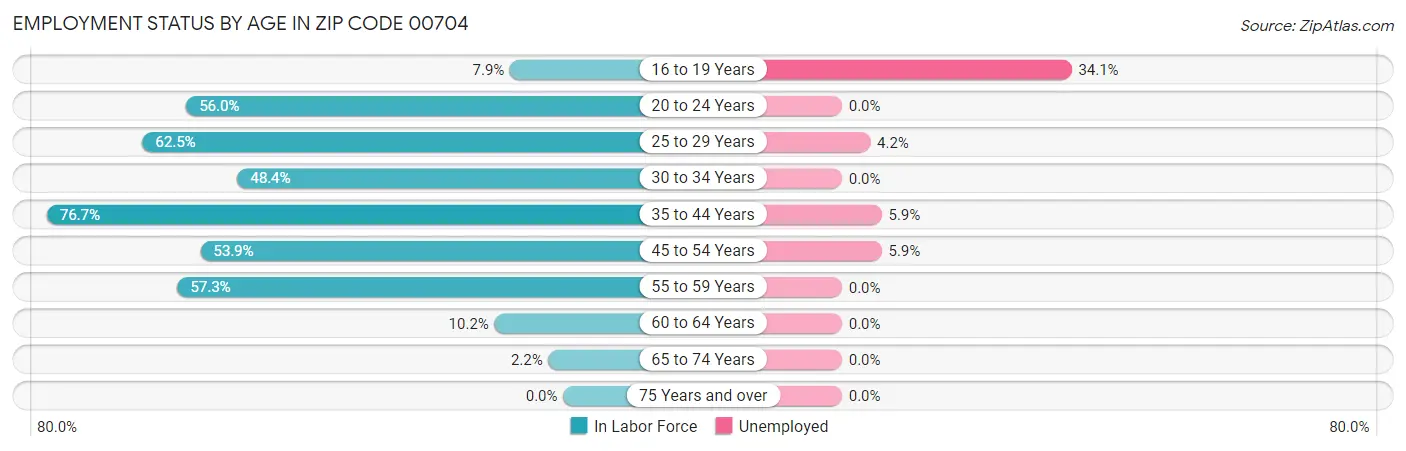 Employment Status by Age in Zip Code 00704