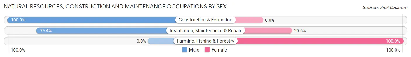 Natural Resources, Construction and Maintenance Occupations by Sex in Zip Code 00719