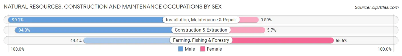 Natural Resources, Construction and Maintenance Occupations by Sex in Zip Code 00725
