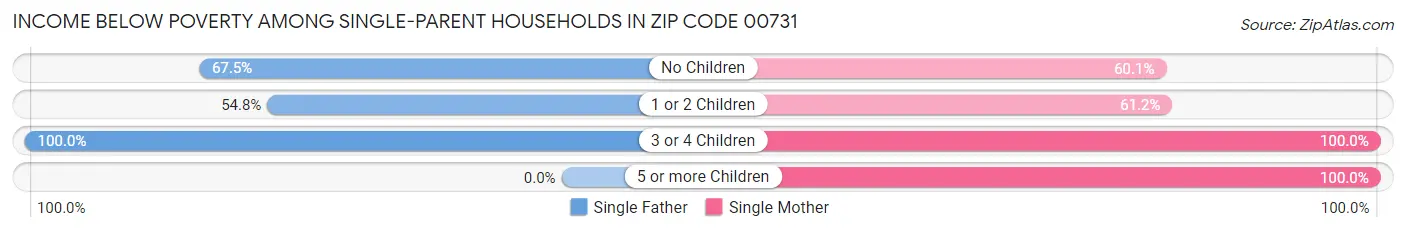 Income Below Poverty Among Single-Parent Households in Zip Code 00731