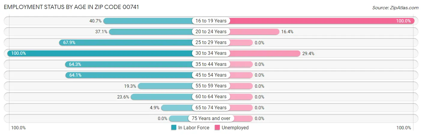 Employment Status by Age in Zip Code 00741