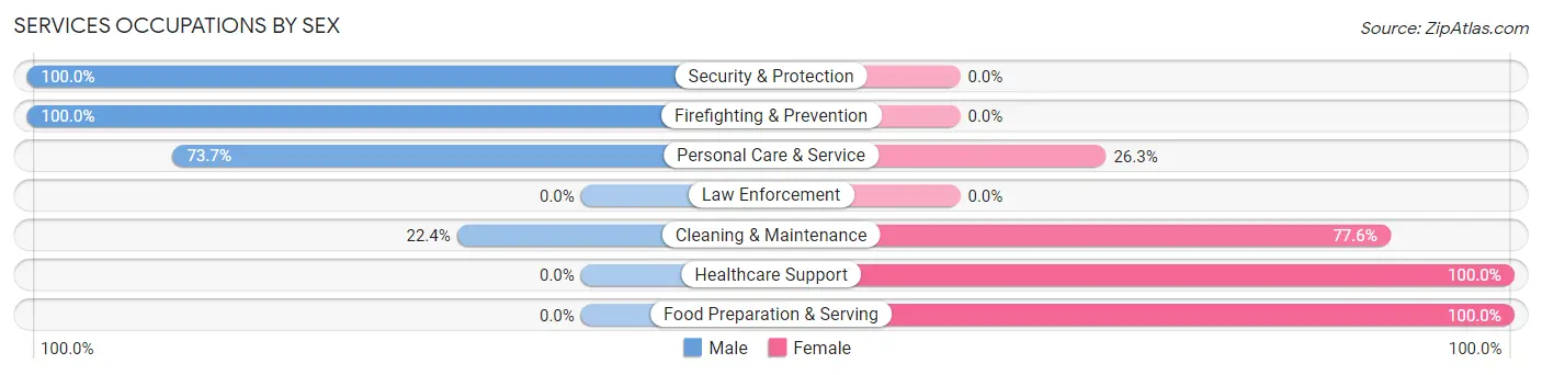 Services Occupations by Sex in Zip Code 00775