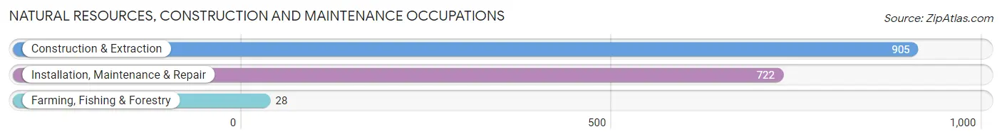 Natural Resources, Construction and Maintenance Occupations in Zip Code 00778