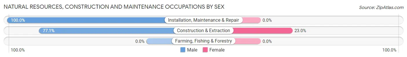 Natural Resources, Construction and Maintenance Occupations by Sex in Zip Code 00909