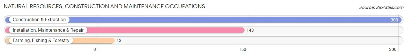 Natural Resources, Construction and Maintenance Occupations in Zip Code 00917