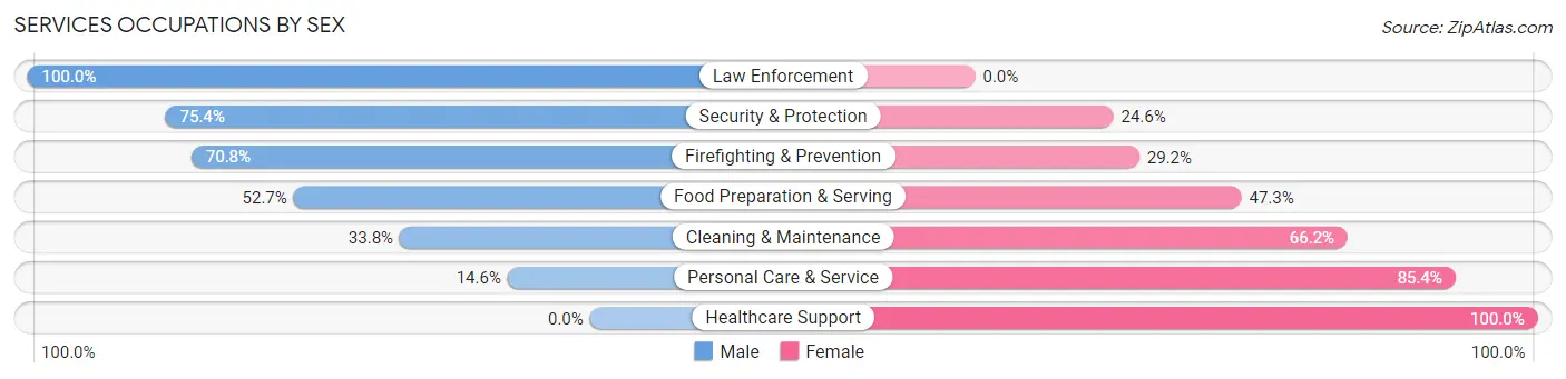 Services Occupations by Sex in Zip Code 00965