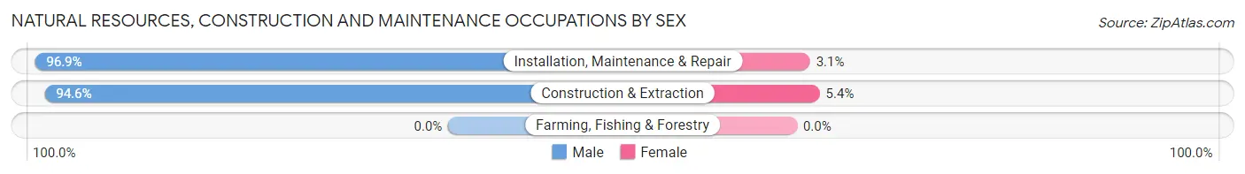 Natural Resources, Construction and Maintenance Occupations by Sex in Zip Code 00987