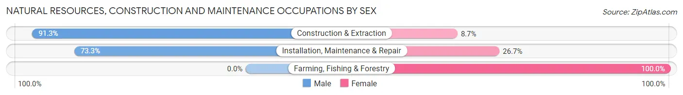 Natural Resources, Construction and Maintenance Occupations by Sex in Zip Code 01002