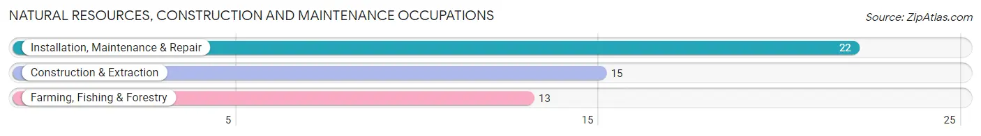 Natural Resources, Construction and Maintenance Occupations in Zip Code 01003