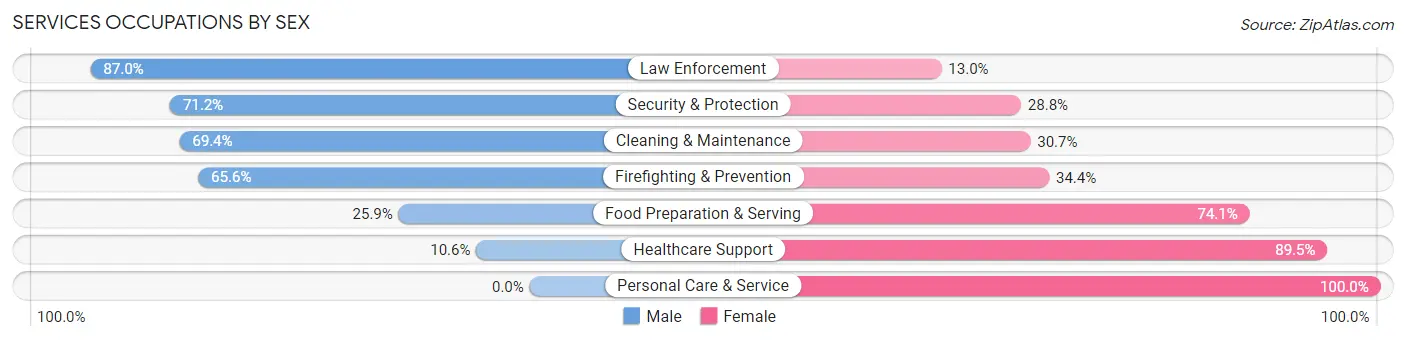 Services Occupations by Sex in Zip Code 01007