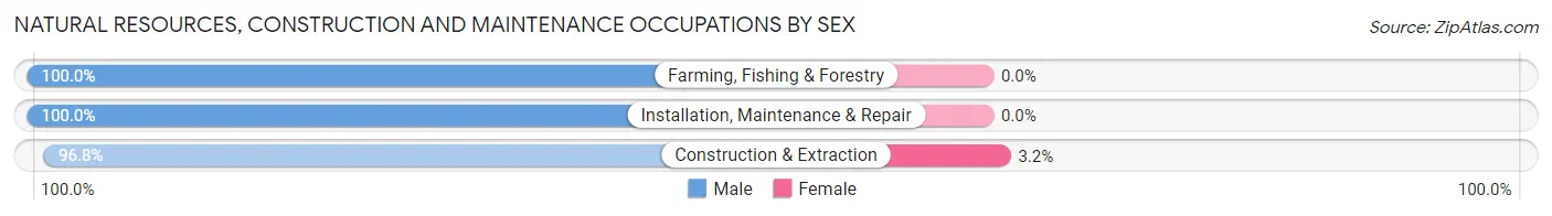 Natural Resources, Construction and Maintenance Occupations by Sex in Zip Code 01008