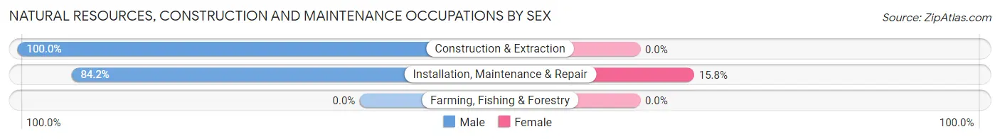 Natural Resources, Construction and Maintenance Occupations by Sex in Zip Code 01010
