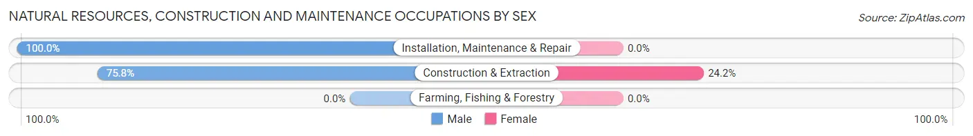 Natural Resources, Construction and Maintenance Occupations by Sex in Zip Code 01012