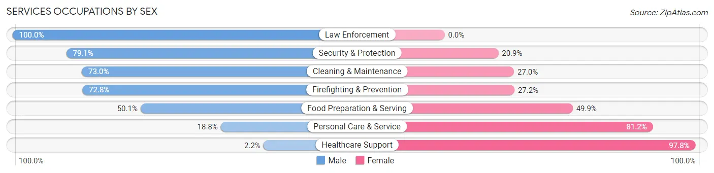 Services Occupations by Sex in Zip Code 01020